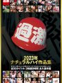 NHT-026