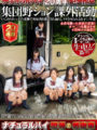 NHDTB-335