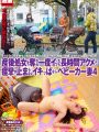 NHDTB-373